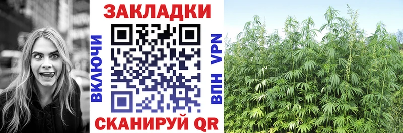 Где продают наркотики Онега Гашиш  Cocaine  MDMA  АМФЕТАМИН  МЕФ  СОЛЬ 