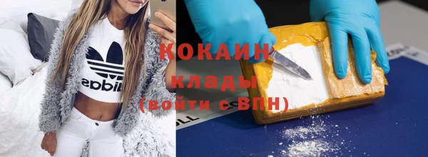 прущие грибы Беломорск