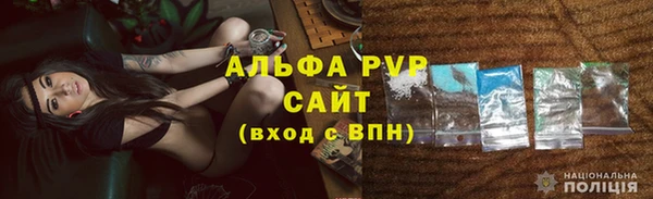 прущие грибы Беломорск