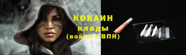 трава Белокуриха