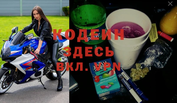 трава Белокуриха