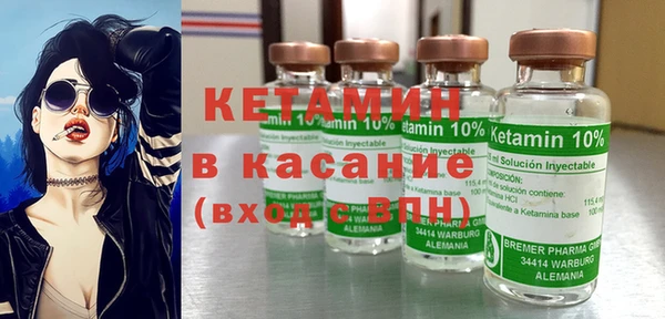 трава Белокуриха