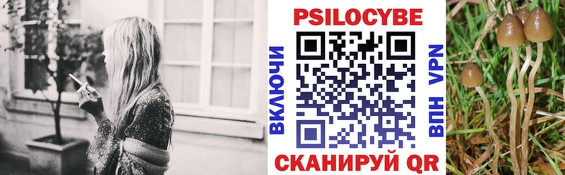 Галлюциногенные грибы Cubensis  Онега 